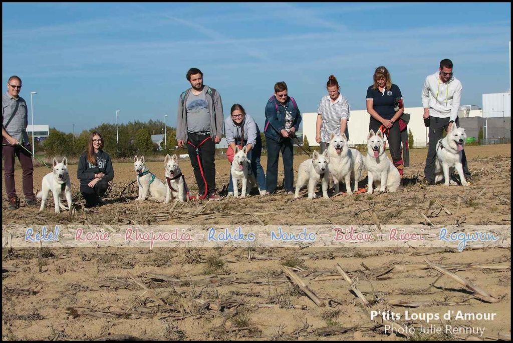 P'tits Loups d'Amour - Promenade Chiots 2018 