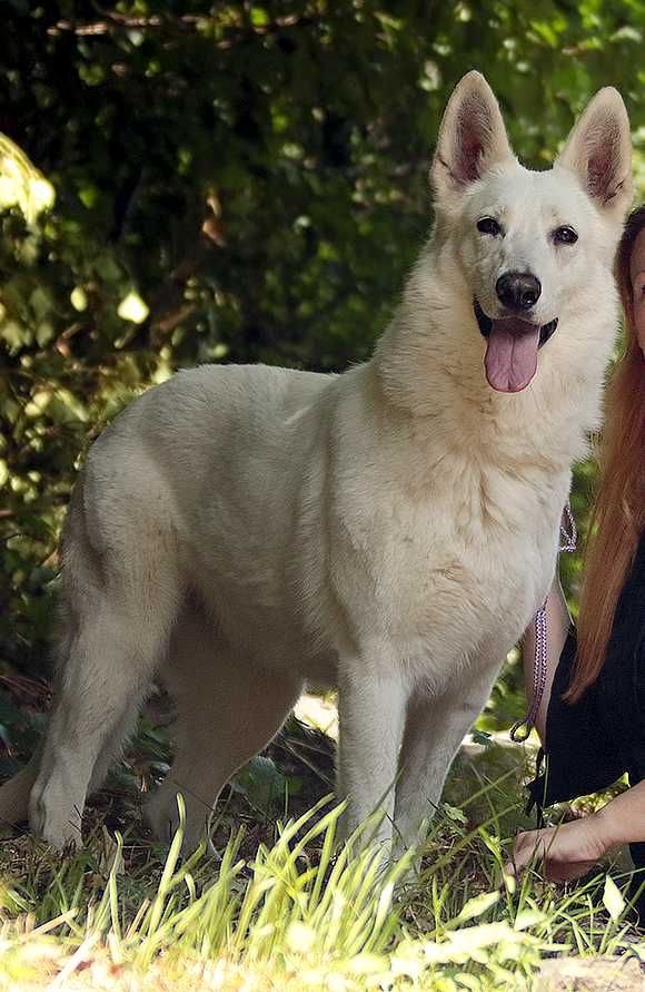 Oups encore une kapryss P'tits Loups d'Amour