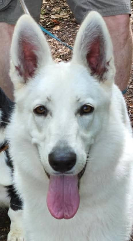 Waouh Encore une Kapryss P'tits Loups d'Amour